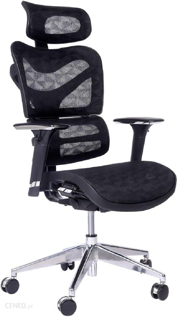 Ergonomiczny Fotel Biurowy Ergo 600 Czarny