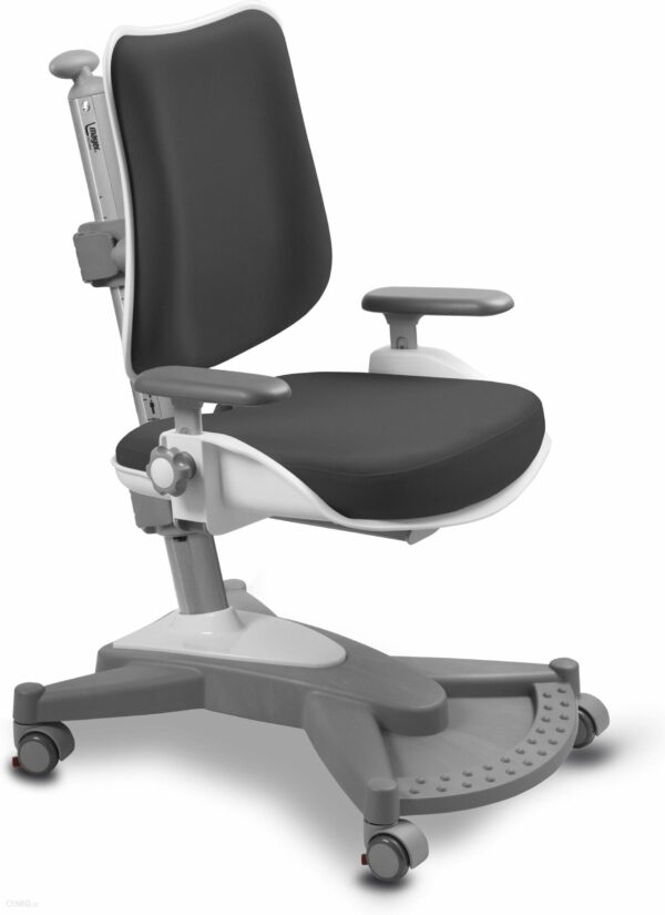 Mayer Krzesło Ergonomiczne Do Biurka Mychamp Antracyt